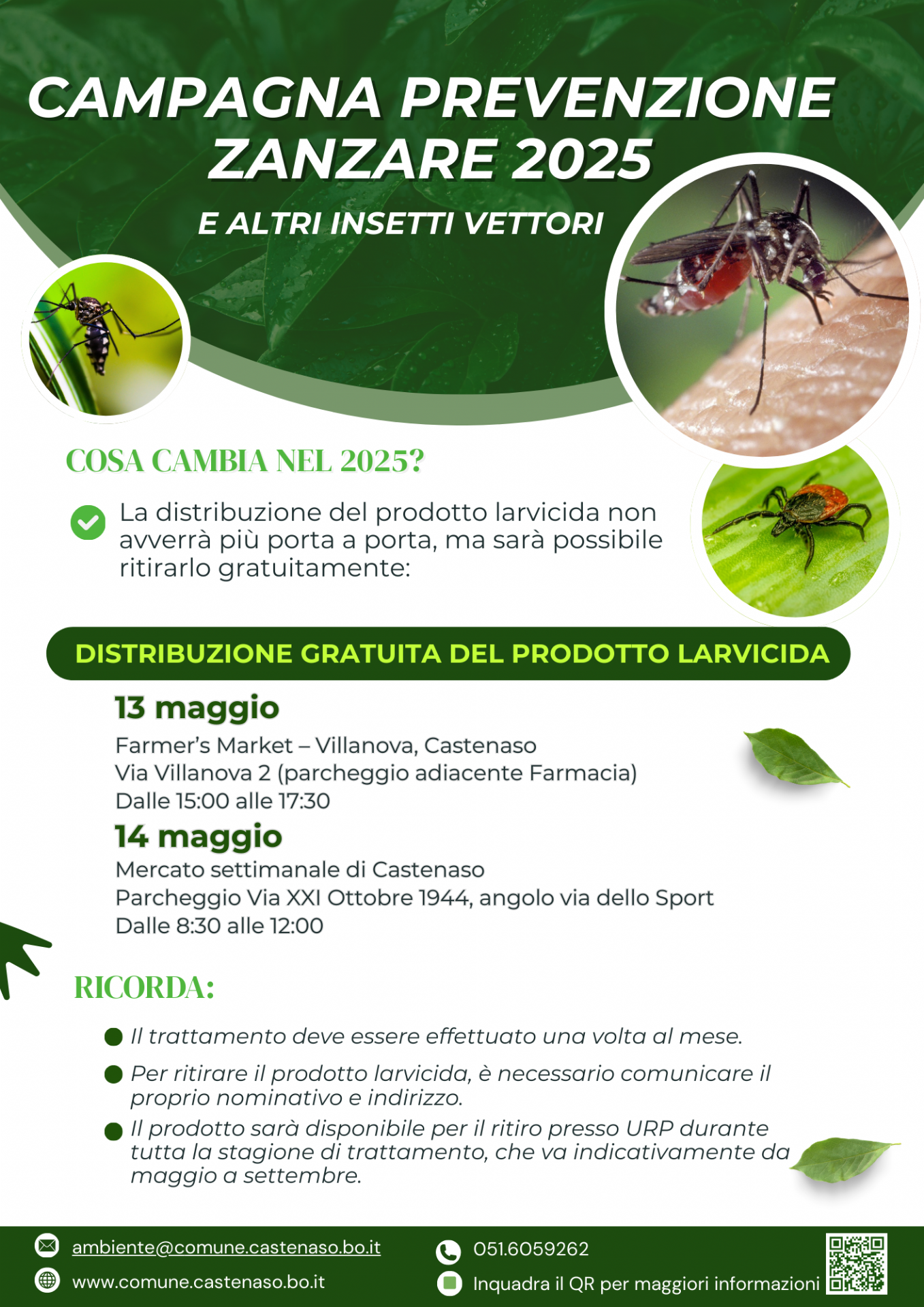 Immagine della campagna di prevenzione contro le zanzare e altri insetti vettori. Sfondo bianco, verde chiaro/scuro. Fotografie di zanzare e altri insetti vettori