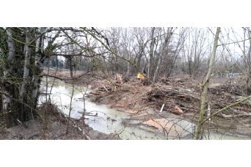 corso d'acqua fangoso, vegetazione rada e alberi spogli. In fondo c'è una macchina che toglie la vegetazione caduta.