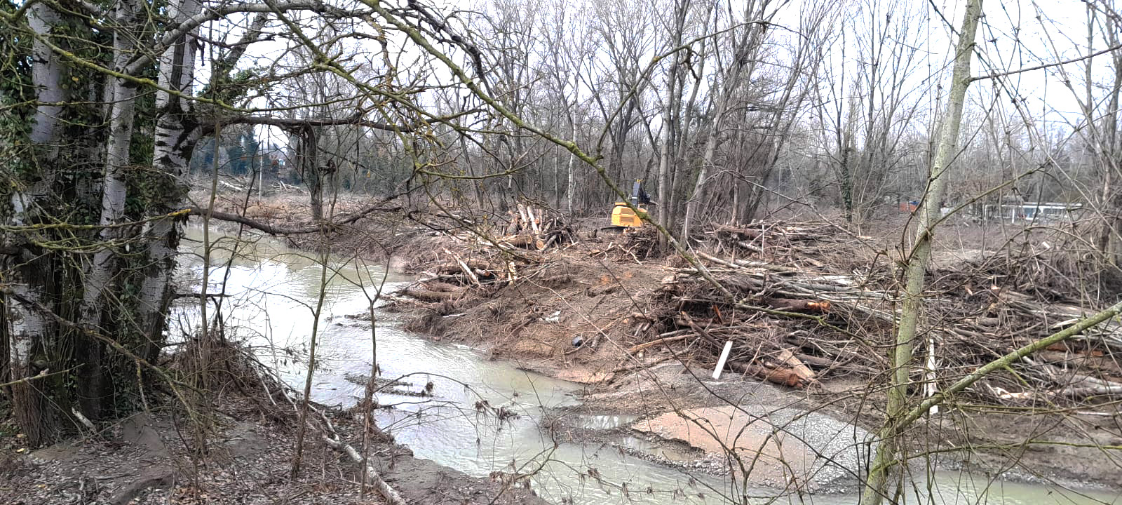 corso d'acqua fangoso, vegetazione rada e alberi spogli. In fondo c'è una macchina che toglie la vegetazione caduta.