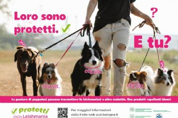 Leishmaniosi: informazioni utili per la prevenzione e il contenimento della malattia