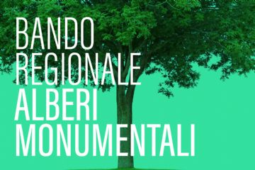 Un albero monumentale con la scritta "Bando regionale alberi monumentali"
