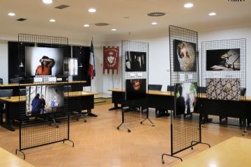 Sfoglia la galleria