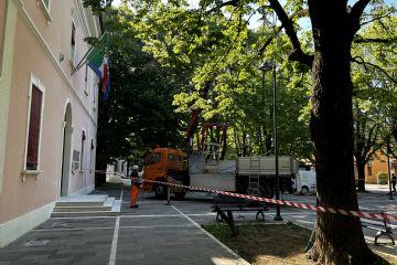 Sfoglia la galleria
